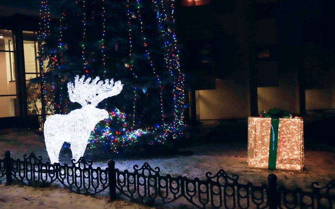 Новогодние декорации