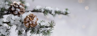 decorative-christmas-arrangement-with-copy-space.jpg